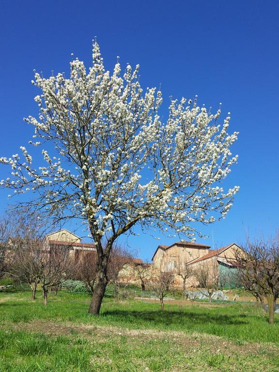 La Casa Blu Villa Calliano  Bagian luar foto